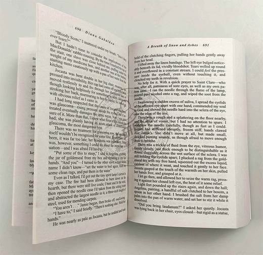 异乡人6 英文原版小说 Outlander 6 A Breath of Snow and Ashes 外乡人 呼吸在雪与灰 经典文学书籍 英文版进口原版英语书 商品图2