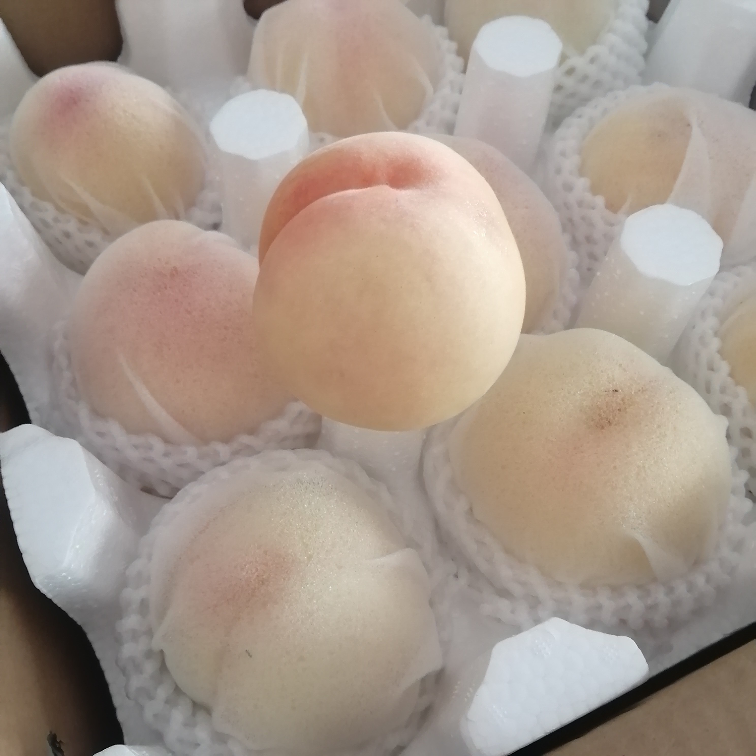 阳山白凤水蜜桃汁多水嫩甜蜜1012颗一箱