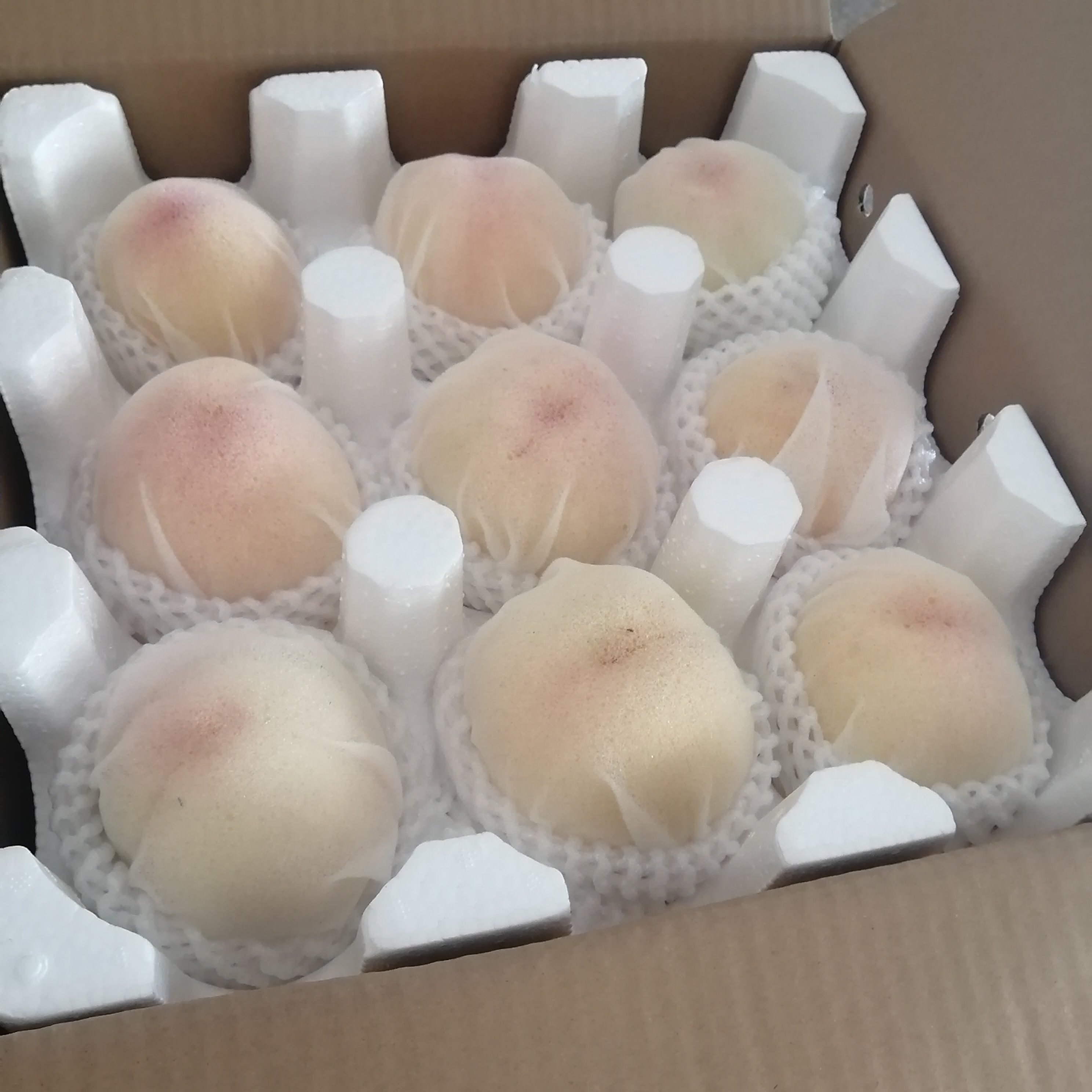 阳山白凤水蜜桃汁多水嫩甜蜜1012颗一箱