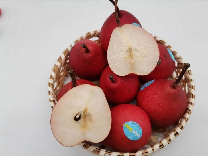 明年见新西兰特级红啤梨12个箱单果约100130g