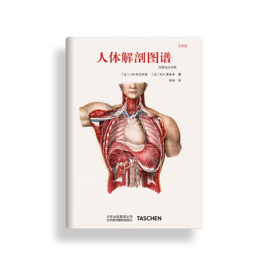 人体解剖图谱 系统解剖学教材 医学实物图谱 商品图2
