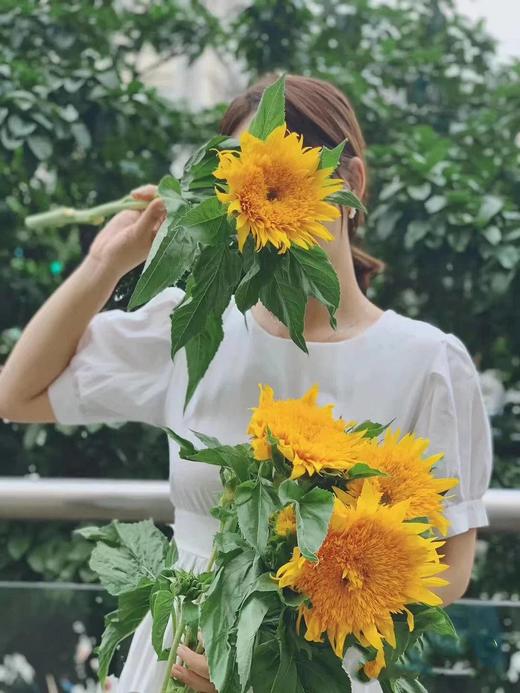 月卡/季卡/年卡【赠人玫瑰 手留余香】 简小姐精选花礼 月卡/季卡/年卡  顺丰包邮 商品图7