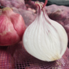 【助销山东紫皮洋葱​】 鲜嫩脆口 盼您相助 商品缩略图1