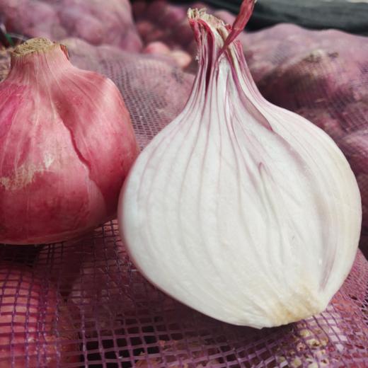 【助销山东紫皮洋葱​】 鲜嫩脆口 盼您相助 商品图1