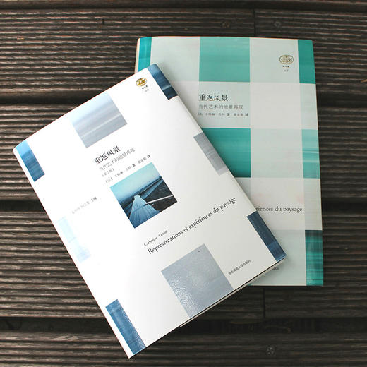 重返风景 第2版 正版精装 轻与重文丛 开启观察与解读当代风景/地景的理论基础 华东师范大学出版社 商品图4