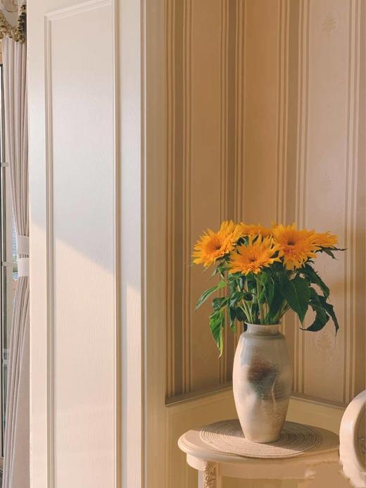 泰迪向日葵【你来人间一趟，你要看看太阳】简小姐精选 超萌毛茸茸A级重瓣泰迪向日葵 2枝/束  2束包邮 48小时发货 商品图5