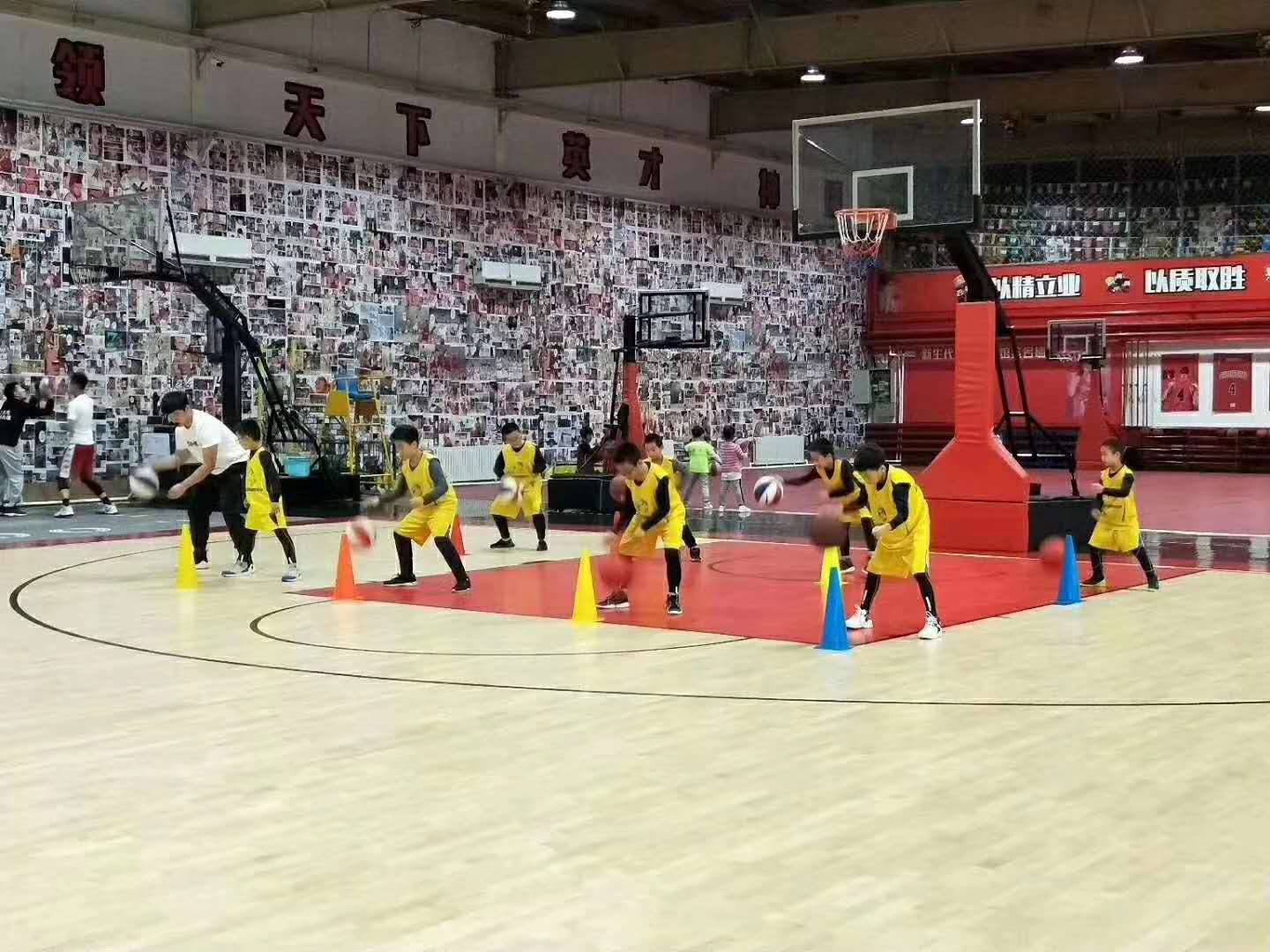 【澎湃青训体育】168元抢篮球/羽毛球月卡，拍下预约即可上课，五店就近选择（高新区、绿园区、经开区、宽城区、北湖区）