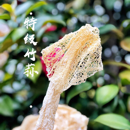 古田精品竹荪  无硫熏  天然无添加  营养价值高  煲汤必备 商品图1