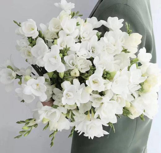 月卡/季卡/年卡【赠人玫瑰 手留余香】 简小姐精选花礼 月卡/季卡/年卡  顺丰包邮 商品图5