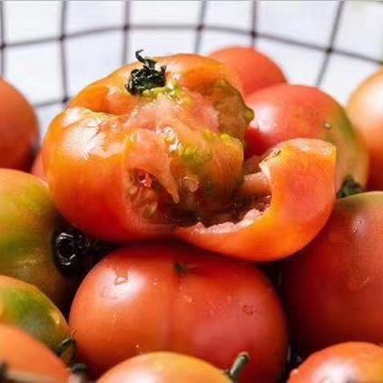 北京包邮丽妃蜜水果番茄20个装354斤装左右黄金酸甜比糖度高于8比普通