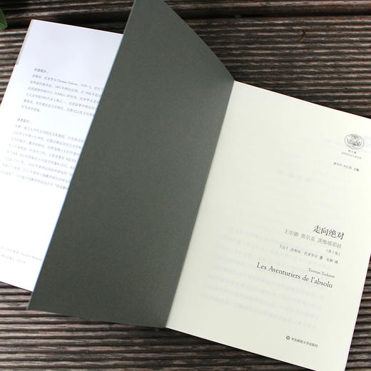 走向jue对：王尔德 里尔克 茨维塔耶娃（第2版）正版精装 轻与重文丛 法国文学批评家托多罗夫作品 商品图3