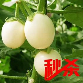 【云梦蔬菜】本地白圆茄子（约750g）