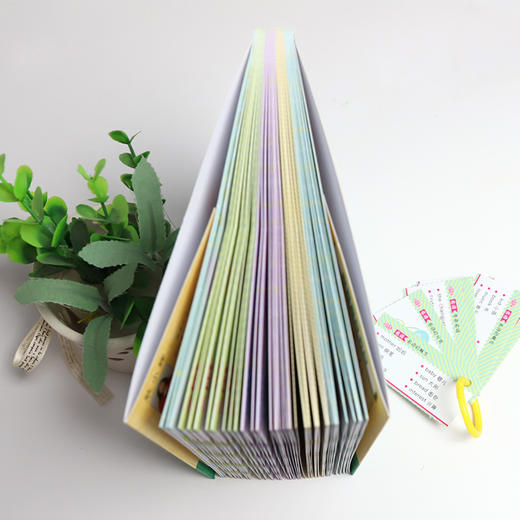 小学英语魔法撕撕书：单词 商品图2