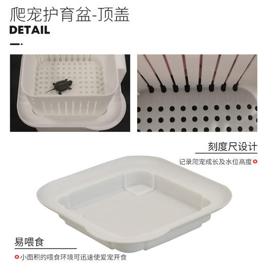 【家庭龟蛋孵化盒】发色隔离盒：龟苗护育盆 商品图1