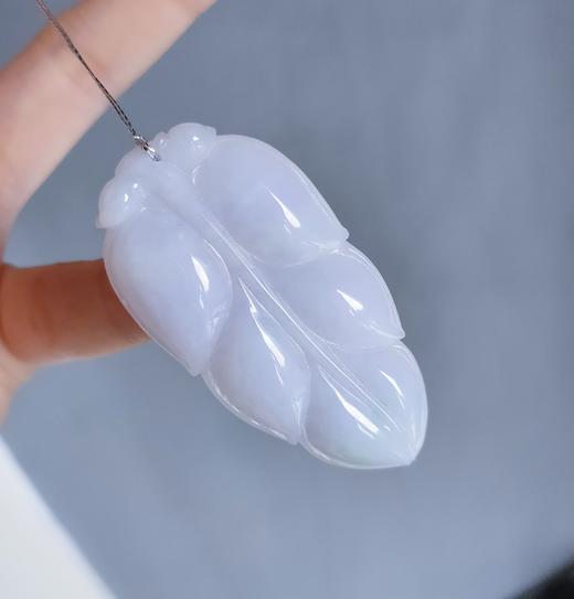 紫花件（金枝玉叶） 商品图1