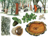 环游世界80种树 商品缩略图2