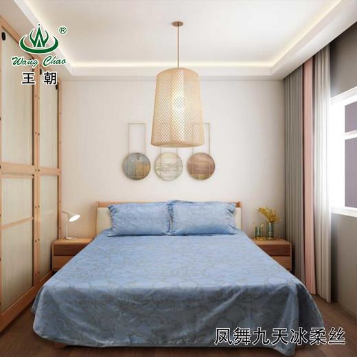 凤舞九天 商品图0