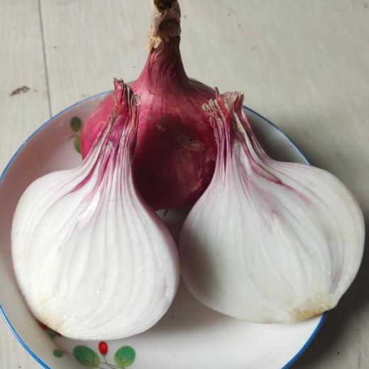 【助销山东紫皮洋葱​】 鲜嫩脆口 盼您相助 商品图0