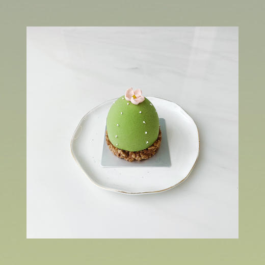 随心配：甜品 抹茶生巧仙人掌 商品图0