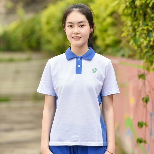 深圳校服中学女生款夏季运动短袖上衣单件