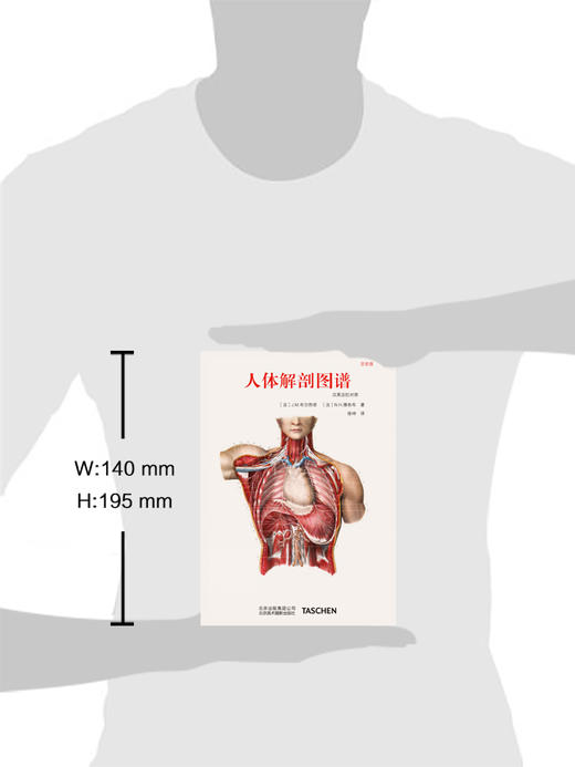 人体解剖图谱 系统解剖学教材 医学实物图谱 商品图1