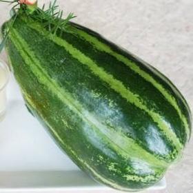 【云梦蔬菜】本地菜瓜1.5kg
