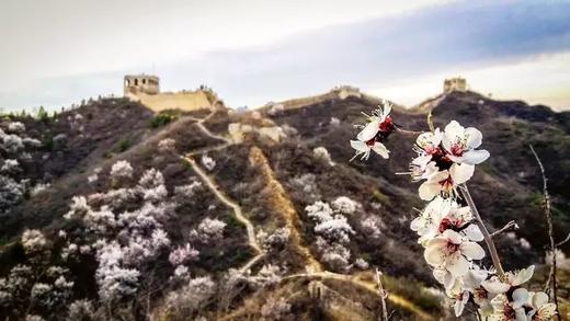 两日阅尽山河色——古北水镇+蟠龙山长城 商品图2