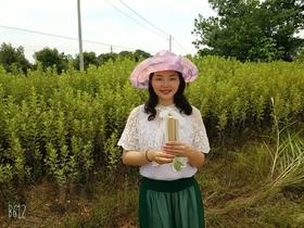 艾灸养生答疑直播