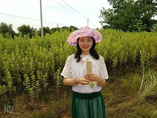 艾灸养生答疑直播 商品图0