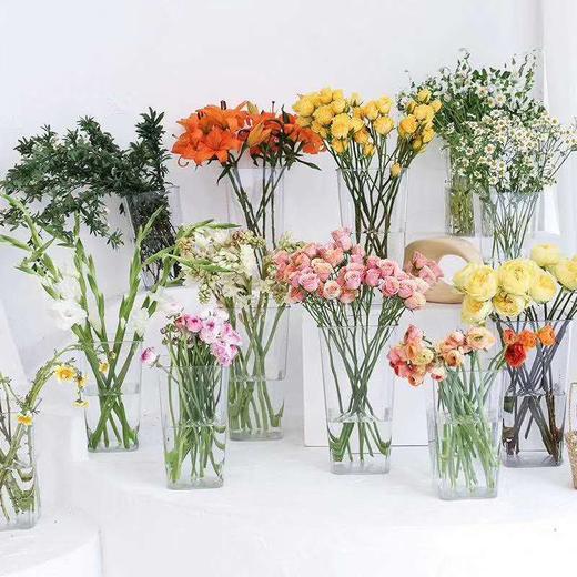 【亚克力透明养花桶】透明养花桶/圆桶/方桶 商品图4