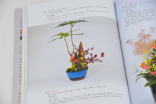 中国插花艺术 商品图5