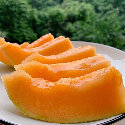 吐鲁番正宗火焰山大棚 哈蜜瓜  一藤一瓜 脆甜多汁（6斤）/（7-8斤） 商品图14