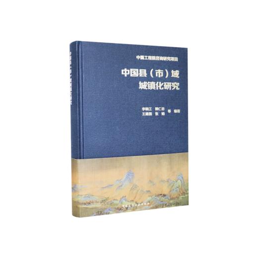 中国县（市）域城镇化研究 商品图0