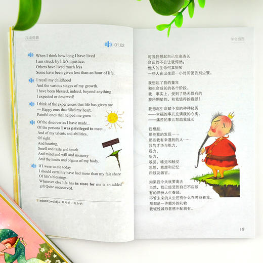 每天读点美丽英文 找谁倚靠 商品图3