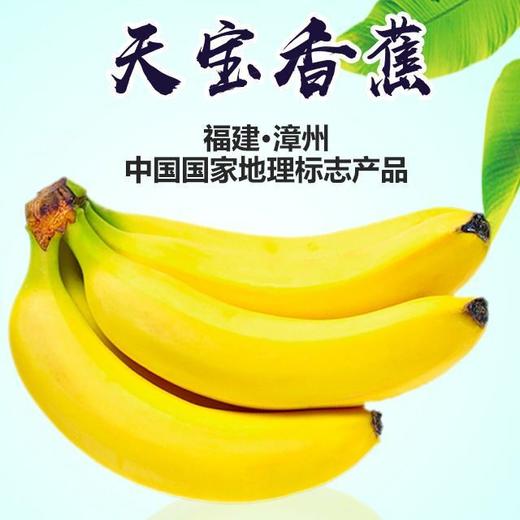 【农道好物精选】天宝香蕉 农家青香蕉现砍现发 5斤 到货自行催熟 告别工业催熟 商品图0