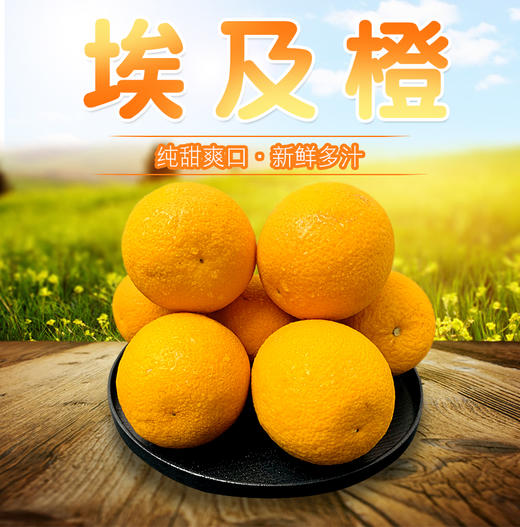 埃及橙1份2个450500g新鲜直供次日发货