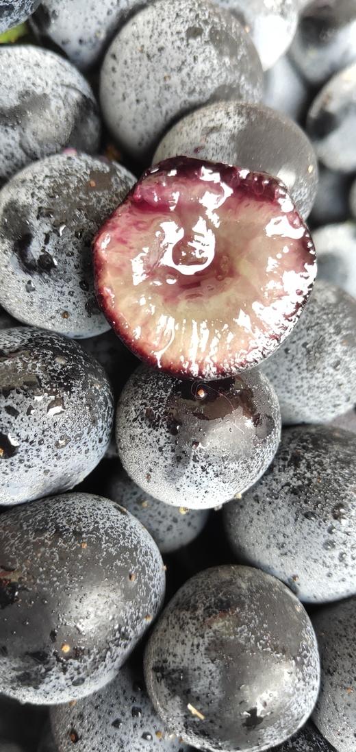 沪苏浙皖包邮云南无籽蓝莓葡萄汁多饱满纯甜无酸富含花青素3斤份