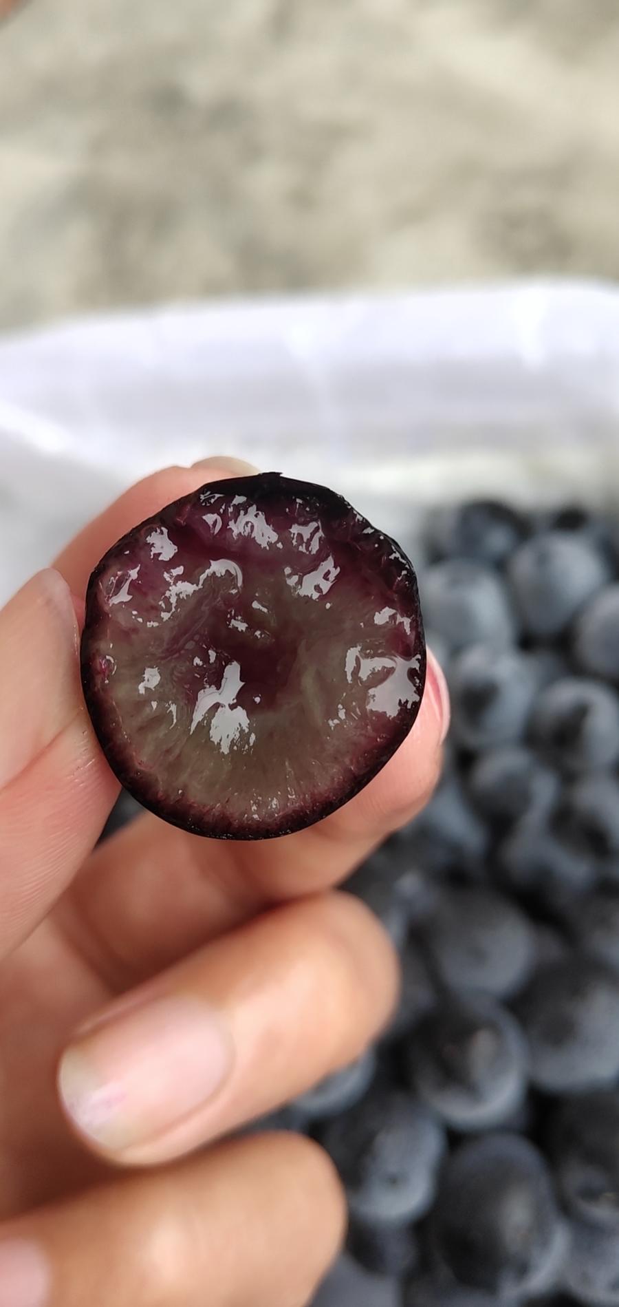 【沪苏浙皖包邮】云南无籽蓝莓葡萄,汁多饱满,纯甜无酸,富含花青素!