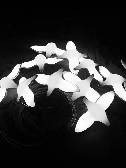 发光海鸥【运费自理】 商品图0