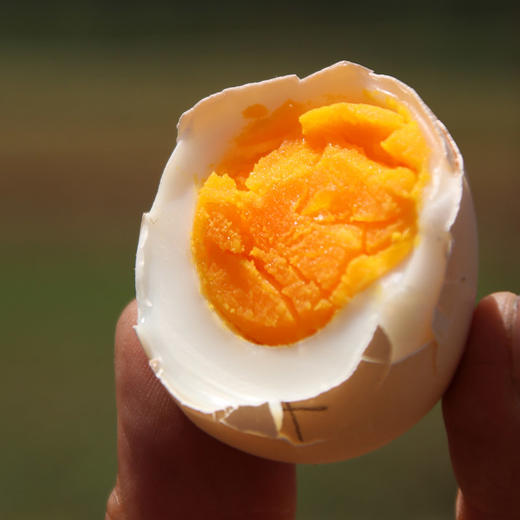 农家五谷喂养 北京油鸡蛋  含卵磷脂  蛋黄个儿大  蛋香醇厚  绵蜜细腻  包邮 30枚 商品图2