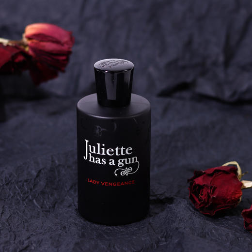 佩枪朱丽叶 复仇女神 Juliette Has A Gun Lady Vengeance 分装 商品图1