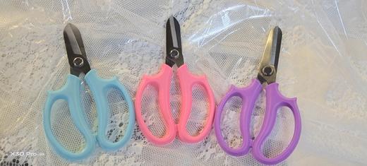 T002-花艺剪(颜色随机) 商品图1