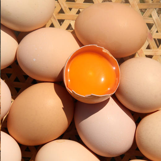 农家五谷喂养 北京油鸡蛋  含卵磷脂  蛋黄个儿大  蛋香醇厚  绵蜜细腻  包邮 30枚 商品图5