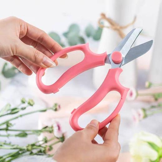 T002-花艺剪(颜色随机) 商品图0