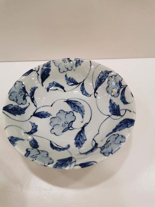 5F石村进口  5入盘 商品图0