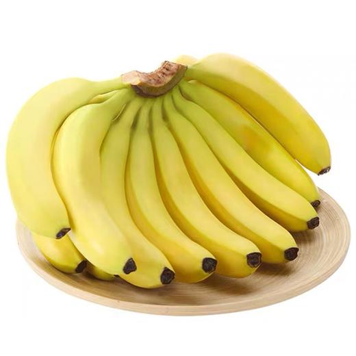 【农道好物精选】天宝香蕉 农家青香蕉现砍现发 5斤 到货自行催熟 告别工业催熟 商品图1