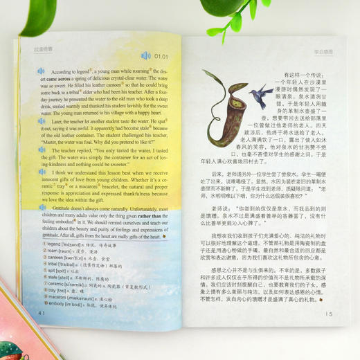 每天读点美丽英文 找谁倚靠 商品图2