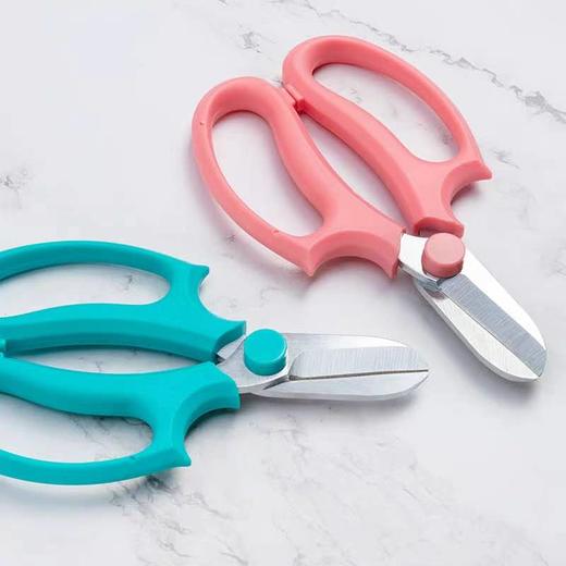 T002-花艺剪(颜色随机) 商品图2