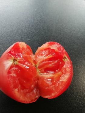 生态种植草莓番茄5斤装