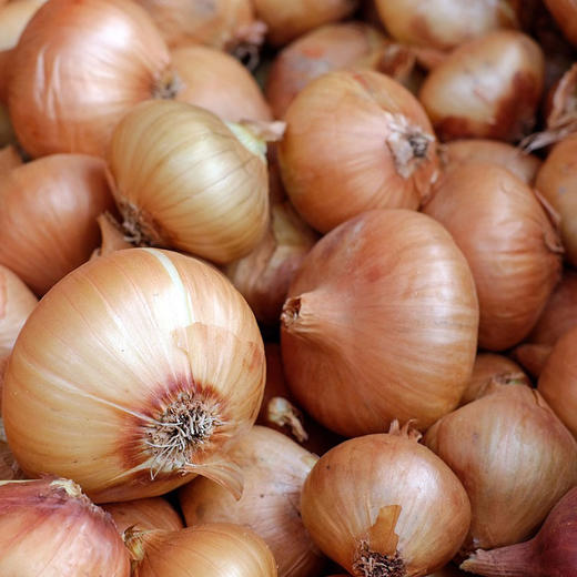 彩虹雨 北京农场 有机蔬菜 黄洋葱4斤/6斤/10斤装 欧盟认证包邮 商品图2